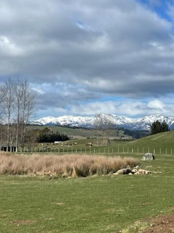 Boutique Tiny House - Te Anau Country Accommodation Kültér fotó