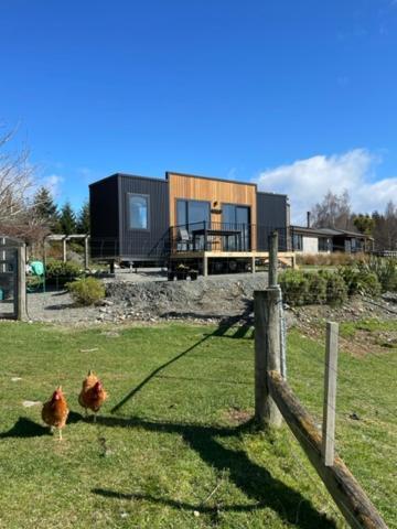 Boutique Tiny House - Te Anau Country Accommodation Kültér fotó